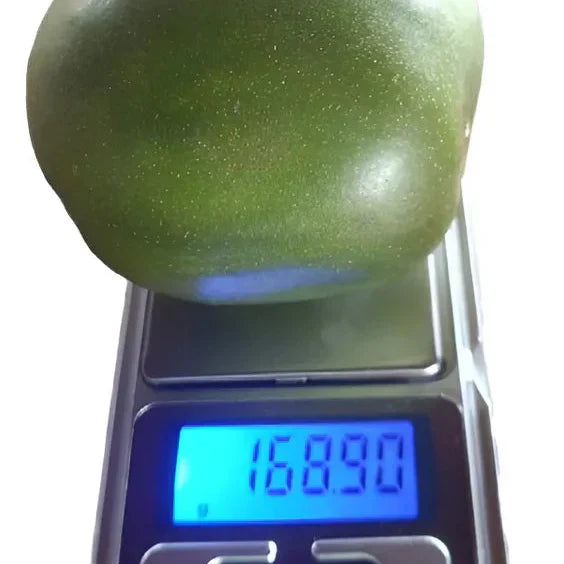 Umbu Gigante – Saco 24 kg