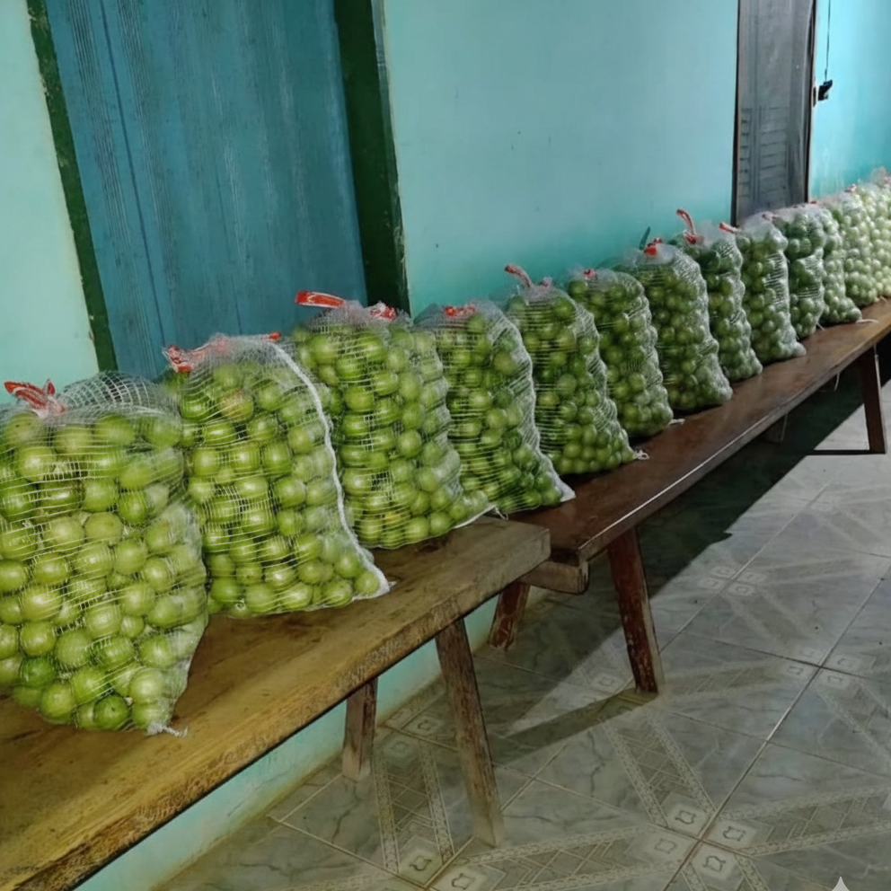 Umbu Gigante – Saco 24 kg