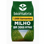 Semente milho 3066 BTMAX - Resistente Milho Verde e Silagem - 1.000 sementes