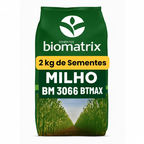 Sementes De Milho Híbrido 3066 BTMax - 2 Kg Alta tecnologia