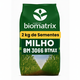 Sementes De Milho Híbrido 3066 BTMax - 2 Kg Alta tecnologia