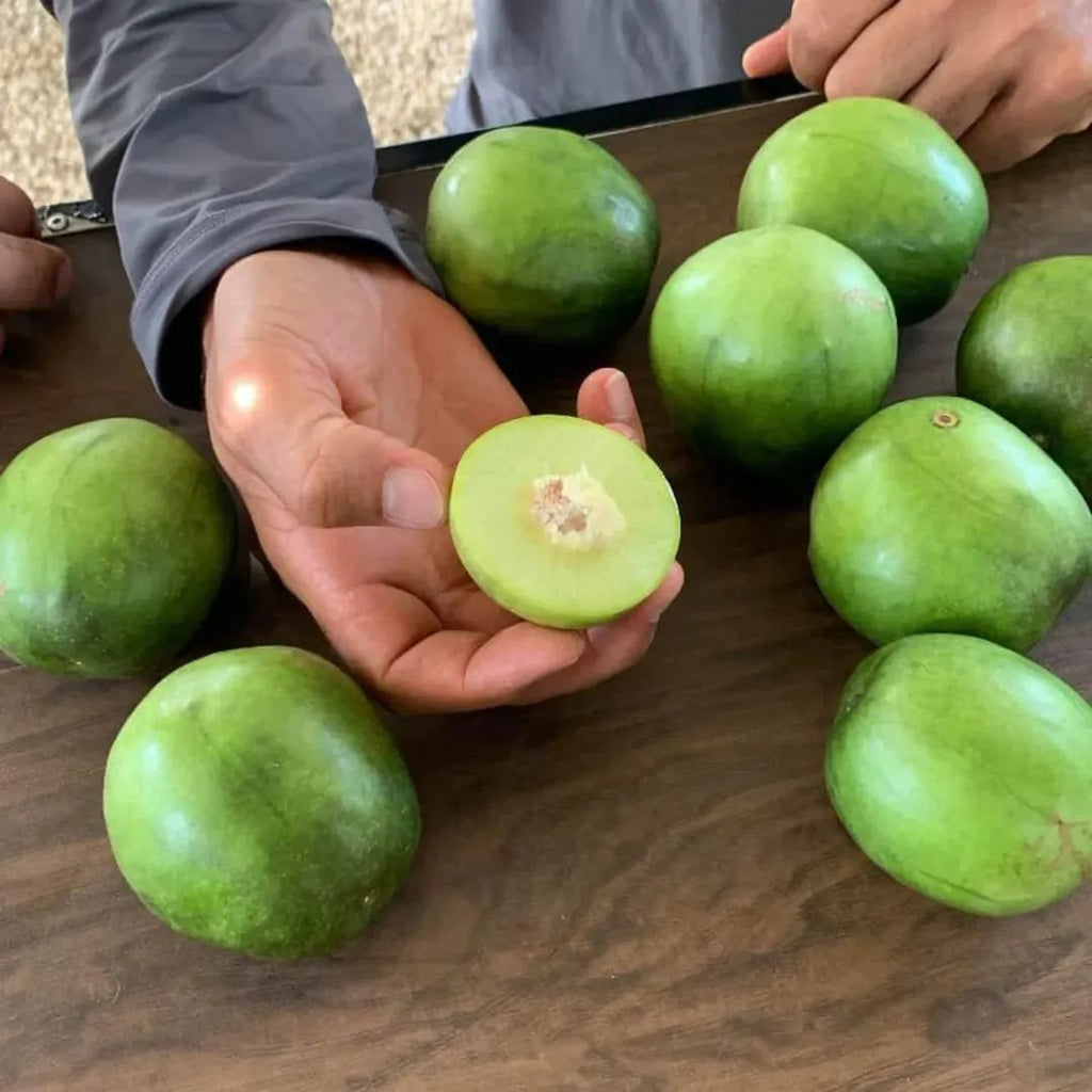 Umbu Gigante – Saco 24 kg